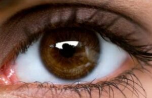 കണ്ണിലെ ബ്ലഡ് പ്രഷർ , ശ്രദ്ധിച്ചില്ലെങ്കിൽ കാഴ്ച്ചശക്തിതന്നെ നഷ്ടമായേക്കാം