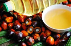 ഇന്തോനേഷ്യ പാമോയിൽ കയറ്റുമതിയിൽ നിരോധനം ഏർപ്പെടുത്തി. ഇന്ത്യയിൽ വിലക്കയറ്റ സാധ്യത.