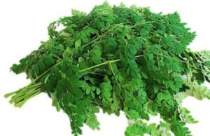 മുരിങ്ങയിലയുടെ ഗുണങ്ങൾ അറിയാം