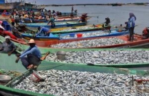 ജൂൺ 9 മുതൽ ട്രോളിംഗ് നിരോധനം