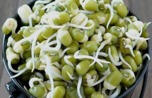 ഒരു പിടി മുളപ്പിച്ച ചെറുപയര് രാവിലെ കഴിച്ചാൽ ഫലം അത്ഭുതം