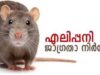 വേണം എലിപ്പനി ജാഗ്രത