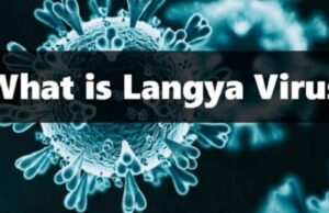 ഭയം വിതച്ച് മറ്റൊരു വൈറസ് കൂടി