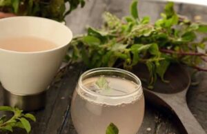 തുളസിയില വെള്ളം കുടിക്കുന്നത് കൊണ്ടുള്ള ആരോഗ്യഗുണങ്ങള് .