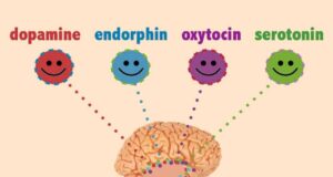 സന്തോഷം പകരുന്ന ഹോർമോണുകളെ അറിയാമോ?