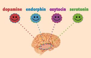 സന്തോഷം പകരുന്ന ഹോർമോണുകളെ അറിയാമോ?