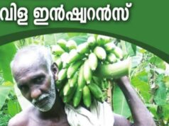 വിള ഇൻഷുറൻസ് അപേക്ഷിക്കേണ്ടത് എങ്ങനെ