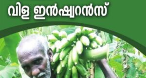 വിള ഇൻഷുറൻസ് അപേക്ഷിക്കേണ്ടത് എങ്ങനെ