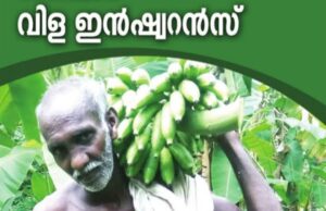 വിള ഇൻഷുറൻസ് അപേക്ഷിക്കേണ്ടത് എങ്ങനെ